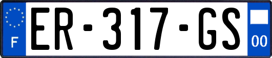 ER-317-GS