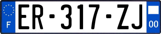 ER-317-ZJ