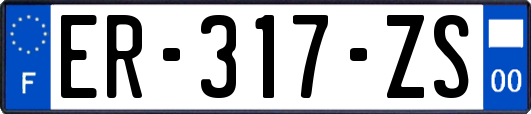 ER-317-ZS