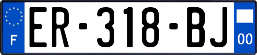 ER-318-BJ