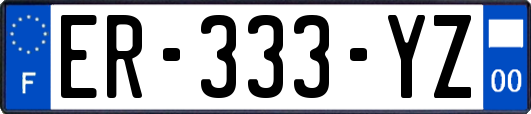 ER-333-YZ