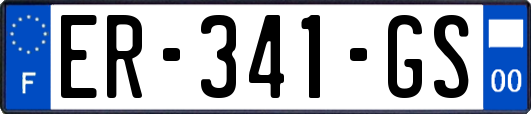 ER-341-GS