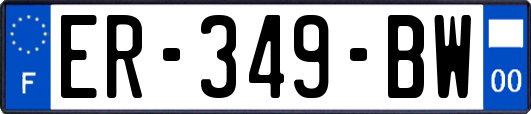 ER-349-BW