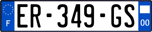 ER-349-GS