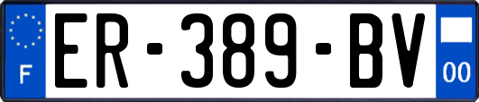 ER-389-BV