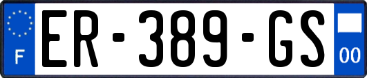 ER-389-GS