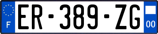 ER-389-ZG