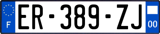 ER-389-ZJ