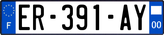 ER-391-AY