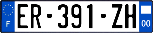 ER-391-ZH