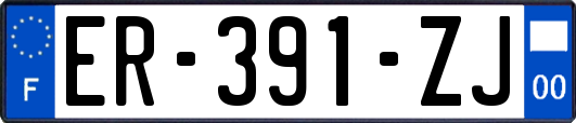 ER-391-ZJ