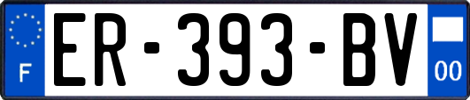 ER-393-BV
