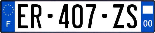 ER-407-ZS