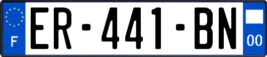 ER-441-BN