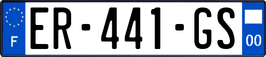 ER-441-GS