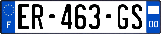ER-463-GS