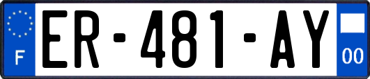 ER-481-AY