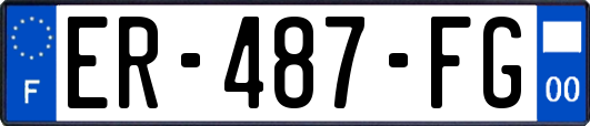 ER-487-FG