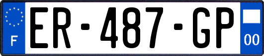 ER-487-GP