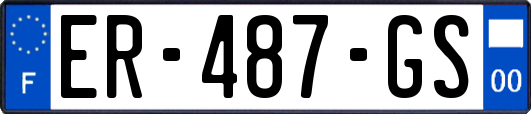 ER-487-GS