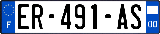 ER-491-AS