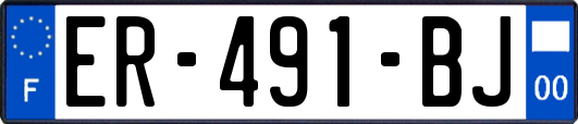 ER-491-BJ