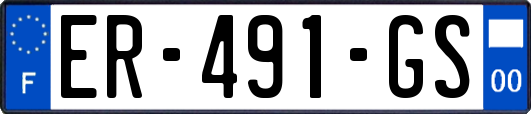 ER-491-GS