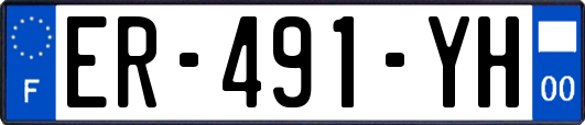 ER-491-YH
