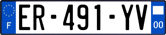 ER-491-YV