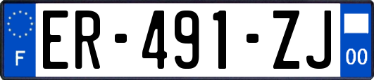 ER-491-ZJ