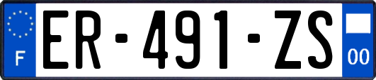 ER-491-ZS