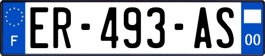 ER-493-AS