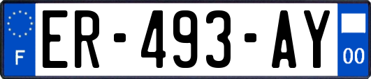 ER-493-AY