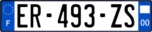 ER-493-ZS