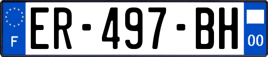 ER-497-BH