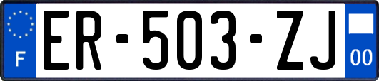 ER-503-ZJ