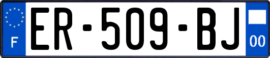 ER-509-BJ