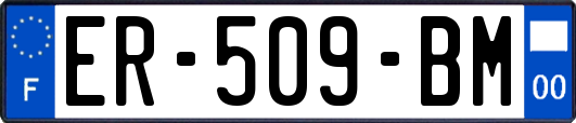 ER-509-BM