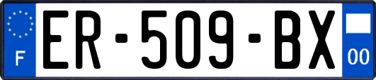 ER-509-BX