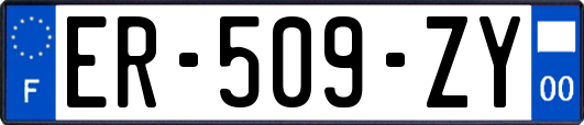 ER-509-ZY