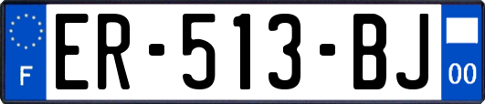 ER-513-BJ