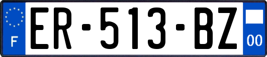ER-513-BZ