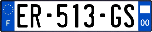 ER-513-GS