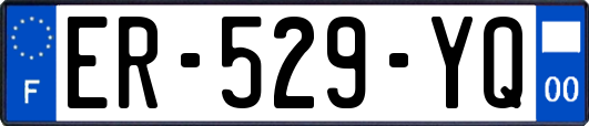 ER-529-YQ