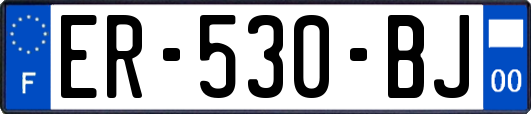 ER-530-BJ