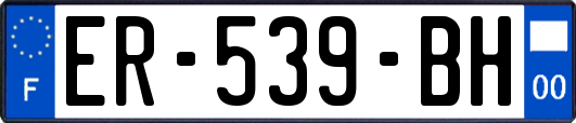 ER-539-BH