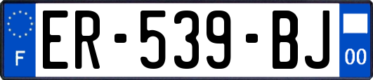 ER-539-BJ
