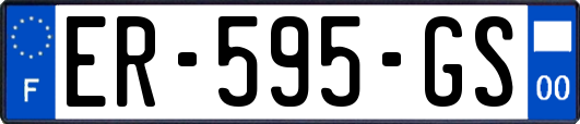 ER-595-GS