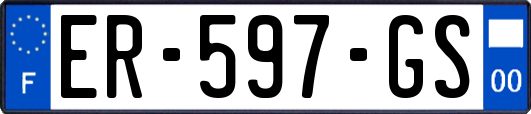 ER-597-GS