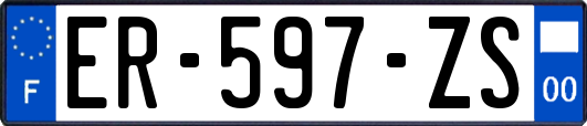 ER-597-ZS